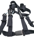 CIRCUIT HERO 4 POINT HARNESS 2" BELTS (BLACK)