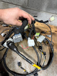 CJ’s Wiring K Series Reychem Engine Harness USED