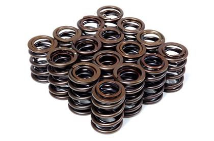 BLOX Racing Dual Valve Springs