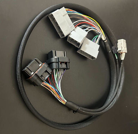 FuelTech jumper harness