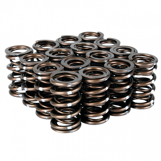 Skunk2 Racing Pro Series Valve Spring Set (Dual Springs)