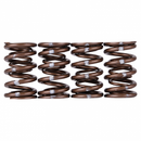 Skunk2 Racing Pro Series Valve Spring Set (Dual Springs)